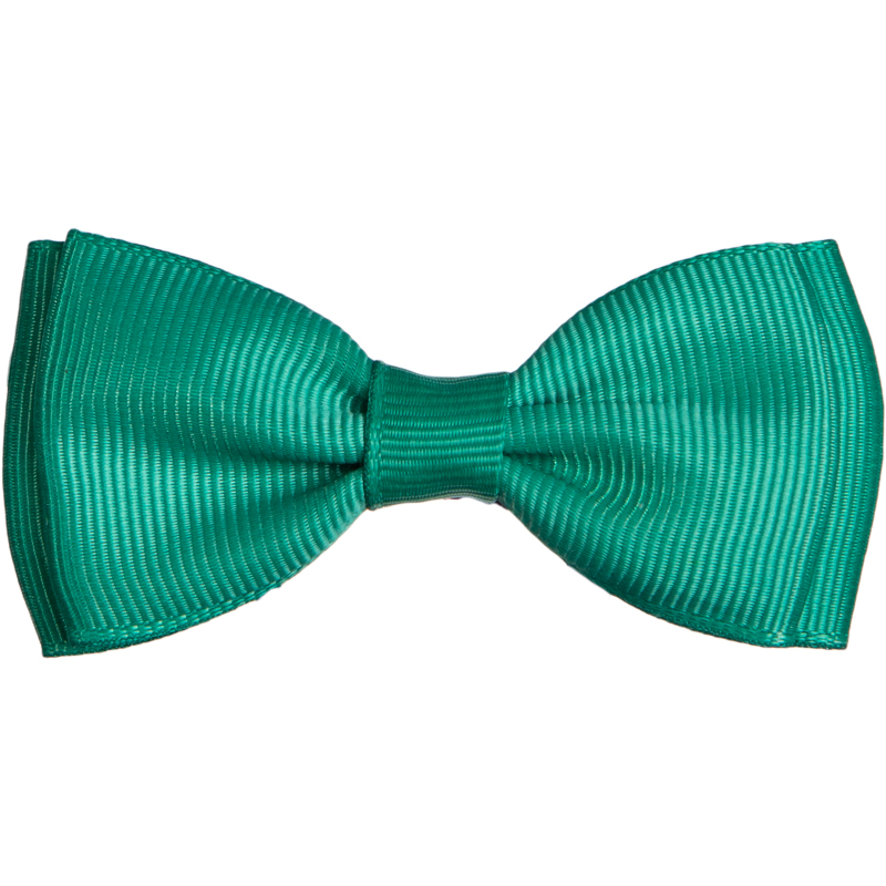 گل‌سر پاپیون ستاره رنگین کمانی